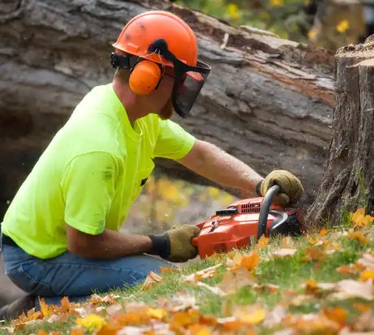 tree services Hamersville